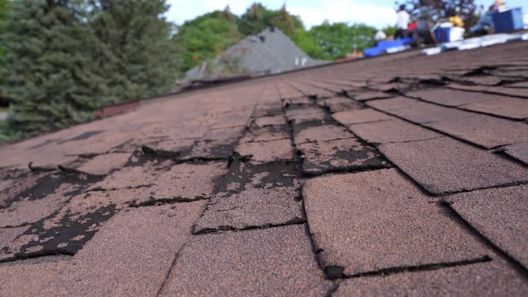 Best Roof Ventilation Installation  in Linden, CA