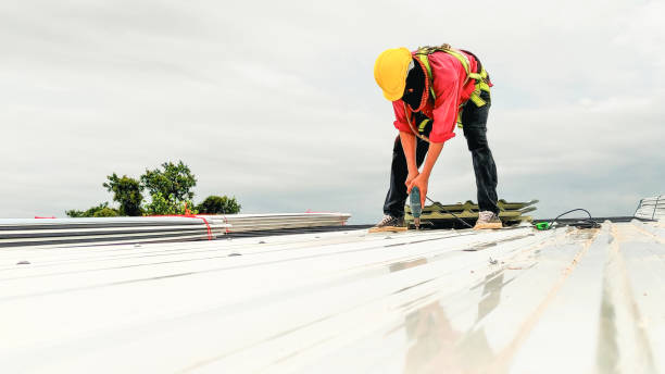Best Skylight Installation and Repair  in Linden, CA